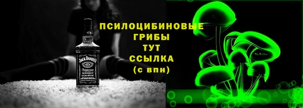 a pvp Аркадак