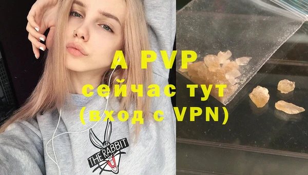 a pvp Аркадак