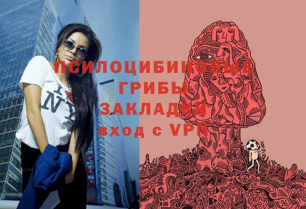 a pvp Аркадак