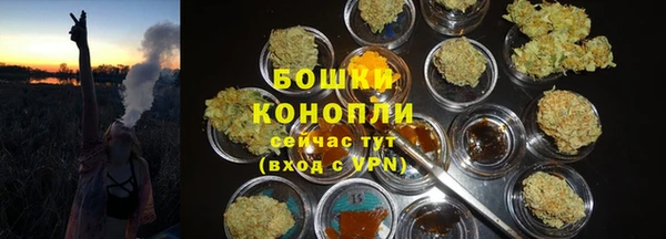 a pvp Аркадак