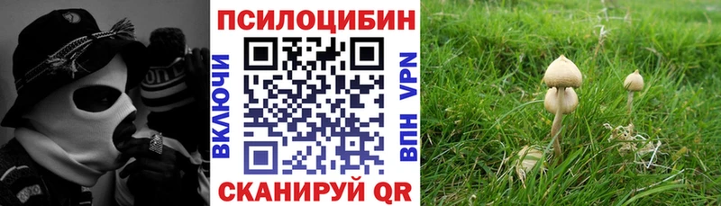 Галлюциногенные грибы прущие грибы  Купить где  Уварово 